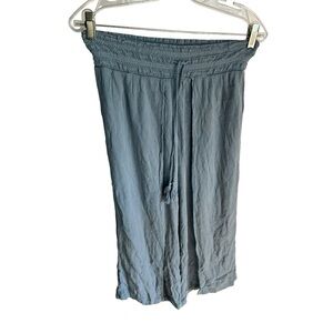 Style & Co Light Blue Pants